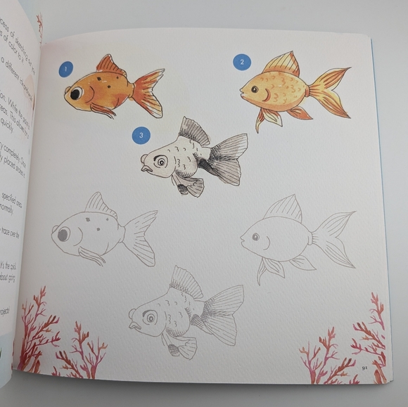 Watercolor With Me: In The Ocean Book By Dana Fox - Picture 3 of 4